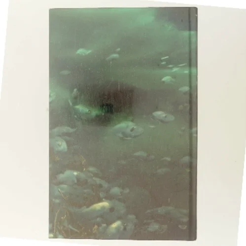 Nattens Øje af Cilla Börjlind (Bog)