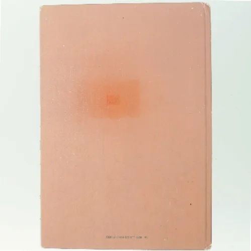 Bambi på opdagelse (Bog)