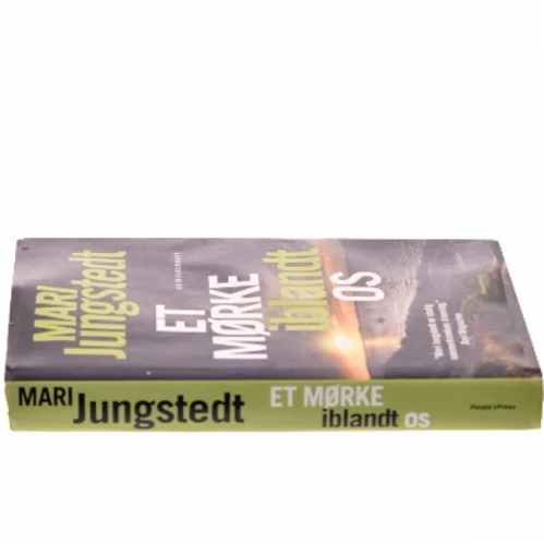 Et mørke iblandt os : kriminalroman af Mari Jungstedt (Bog)