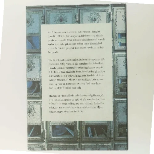 Brødrene af John Grisham af John Grisham (Bog)