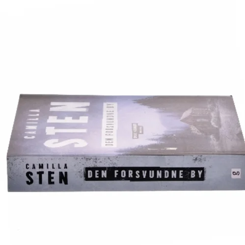 Den forsvundne by af Camilla Sten (f. 1992) (Bog)