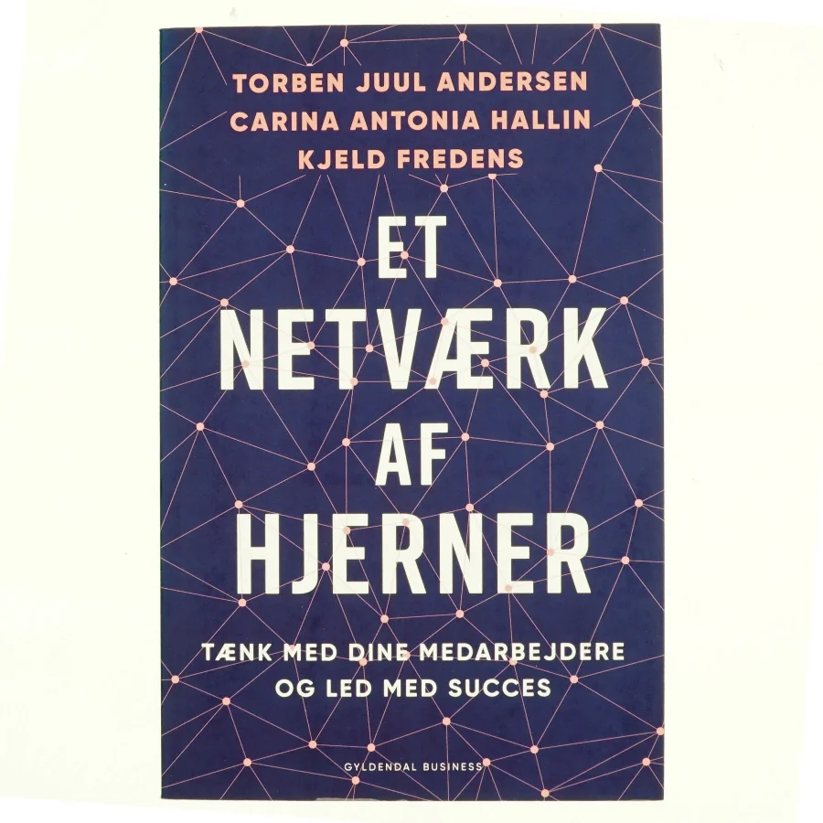 Et netværk af Hjerner - Tænk med dine medarbejdere og led med succes (Bog)