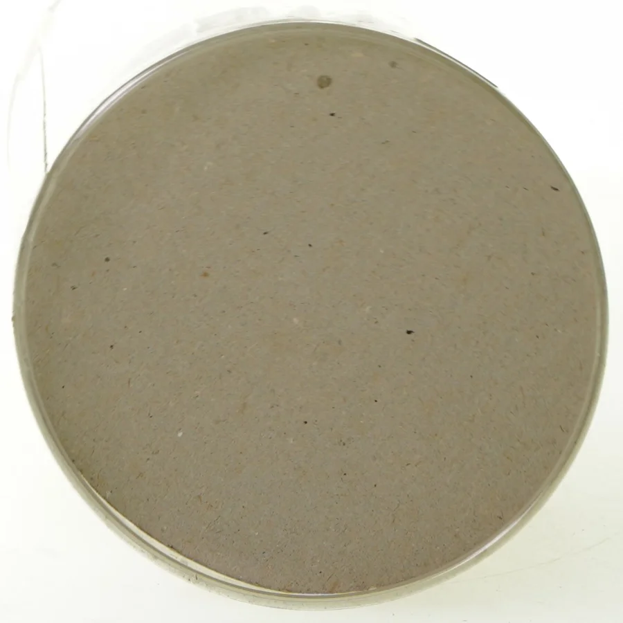 Dukke (str. 22 x 10 cm)