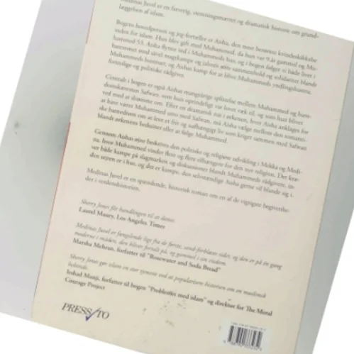 Medinas juvel : en historisk roman af Sherry Jones (Bog)