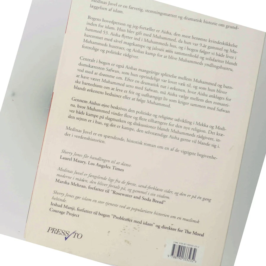 Medinas juvel : en historisk roman af Sherry Jones (Bog)