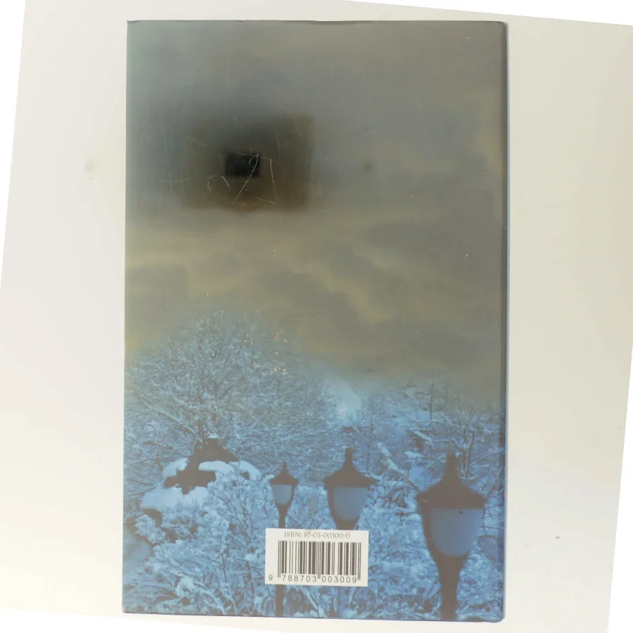 Sandheden bag sandheden : en Hanne Wilhelmsen-roman af Anne Holt (f. 1958-11-16) (Bog)