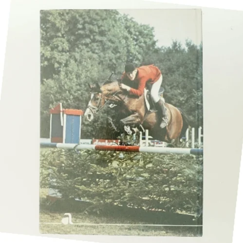 Tilridning · dressur · spring af Lars Lithander (Bog)