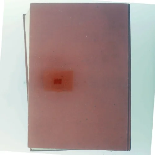 Nordisk Lærebog i Pædiatri af <Navne på forfattere vises ikke på forsiden.> (Bog) fra Munksgaard