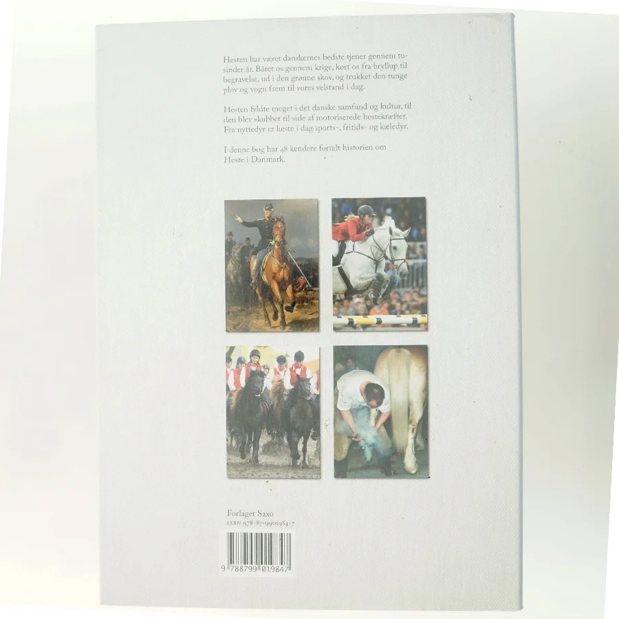 Heste i Danmark af Chr. Heilskov Rasmussen & Ib Møller (Bog)