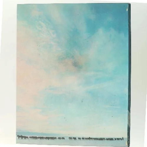 Hestar af <Bogens forfattere> (Bog)