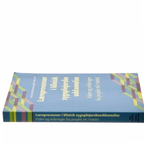 Læreprocesser i klinisk sygeplejerskeuddannelse : viden og erfaringer fra projekt På Tværs af Mari Holen (Bog)