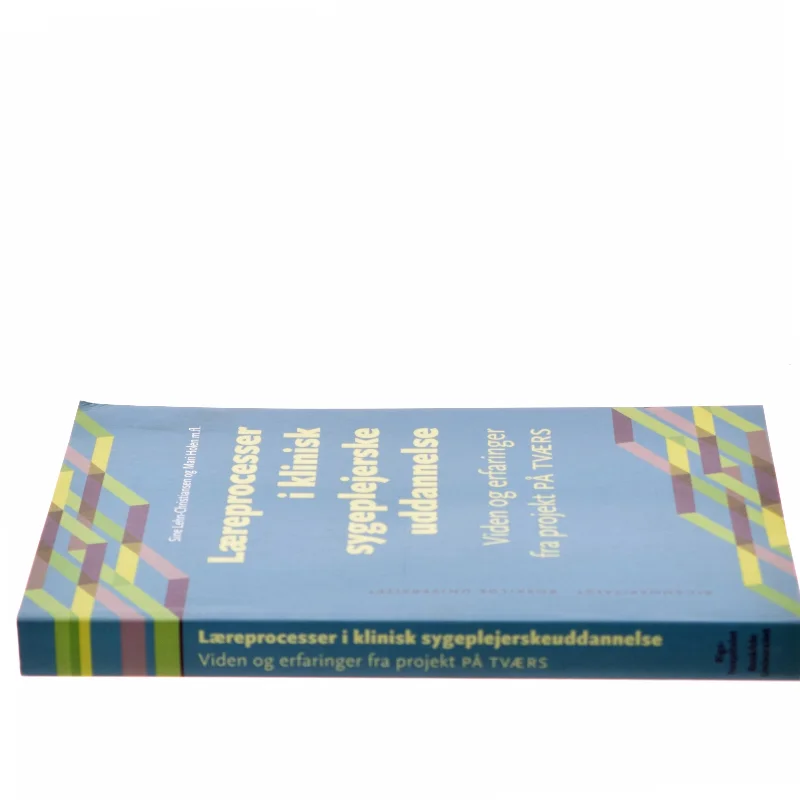 Læreprocesser i klinisk sygeplejerskeuddannelse : viden og erfaringer fra projekt På Tværs af Mari Holen (Bog)