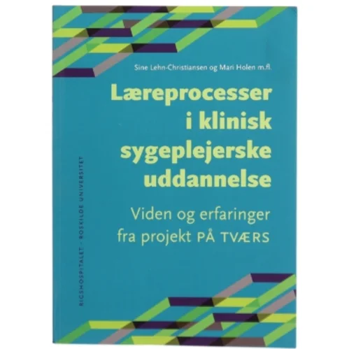 Læreprocesser i klinisk sygeplejerskeuddannelse : viden og erfaringer fra projekt På Tværs af Mari Holen (Bog)