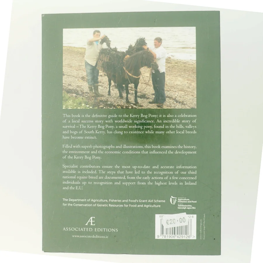 The Story of the Kerry Bog Pony (Bog)