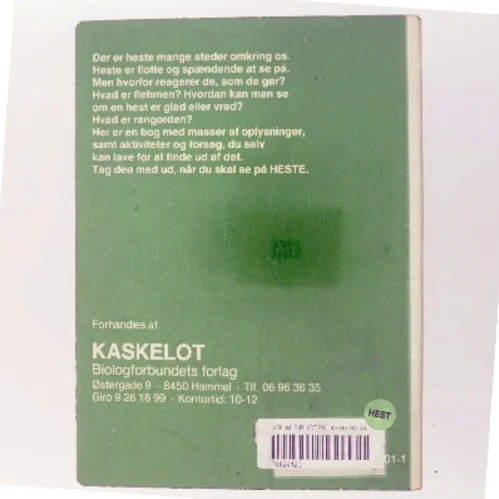 Vi ser på heste af Susanne Mørk-Jensen (Bog)