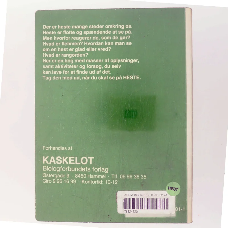 Vi ser på heste af Susanne Mørk-Jensen (Bog)