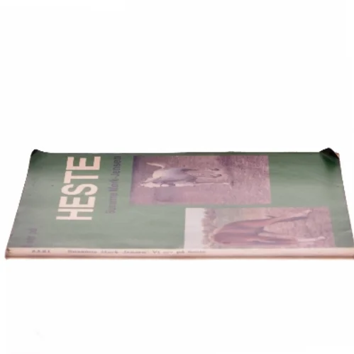 Vi ser på heste af Susanne Mørk-Jensen (Bog)