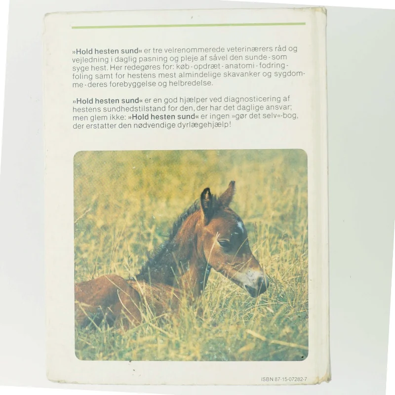 Hold hesten sund af Fritz Sevelius (Bog)