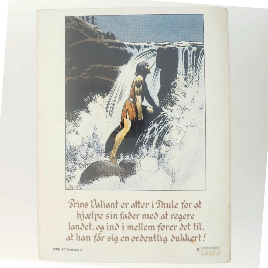 Prins Valiant 18: Floden der forsvandt af Hal Foster (Bog)