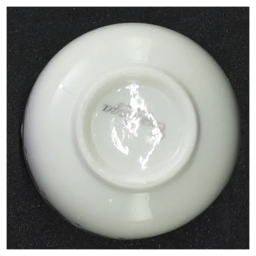 Ubrugt casalinga skål