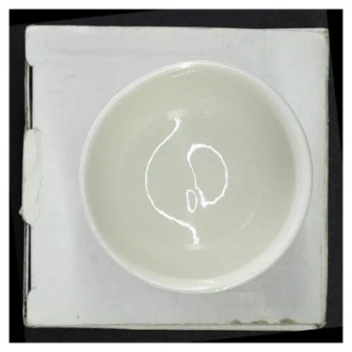 Ubrugt casalinga skål