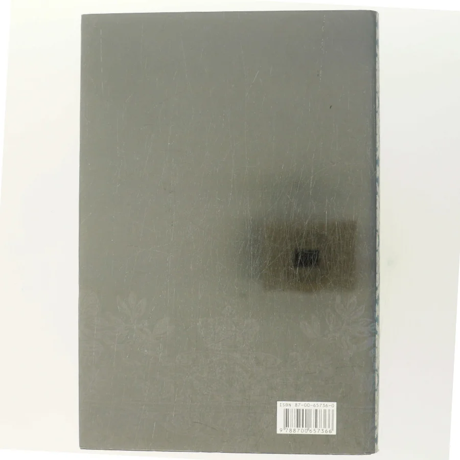 Jomfrudronningen af Susan Kay (Bog)