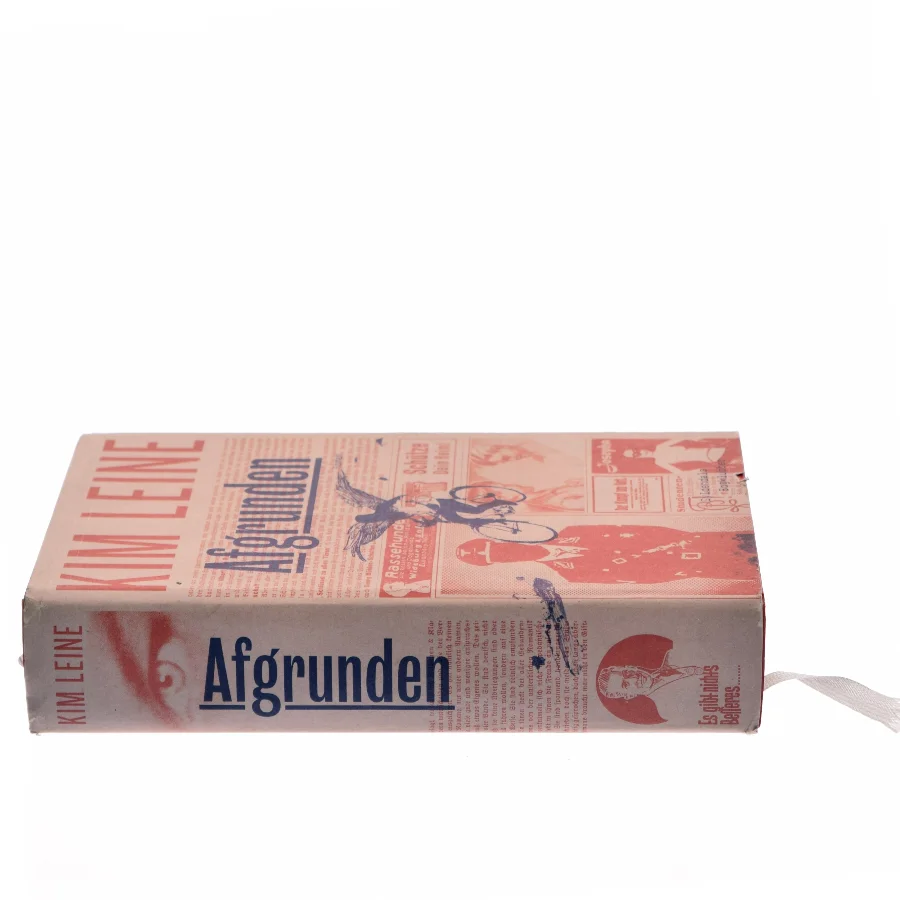 Afgrunden : roman af Kim Leine (Bog)