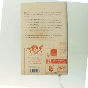 Afgrunden : roman af Kim Leine (Bog)