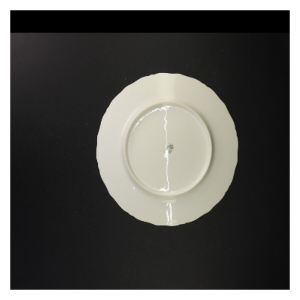 Porcelæns middags tallerkener med blomstermotiv fra Bavaria (str. Diameter 25 og en halv cm)