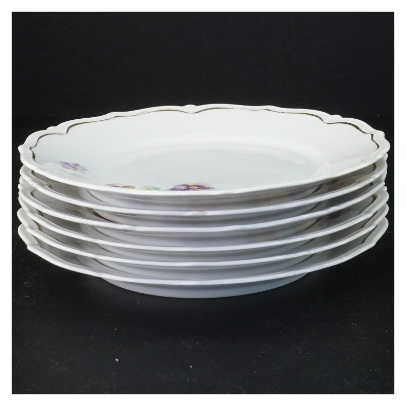 Vintage porcelænstallerkener med blomstermotiv fra Bavaria (str. Diameter 21 cm)