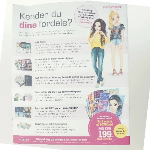 TOPModel blad fra TOPModel
