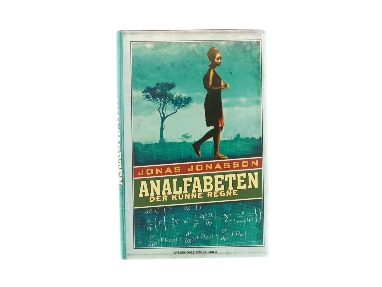 Analfabeten der kunne regne af Jonas Jonasson (Bog)