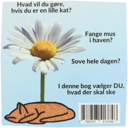 Hvad vil du, når DU leger kat - af Sarah Kirstein