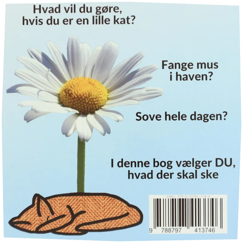 Hvad vil du, når DU leger kat - af Sarah Kirstein