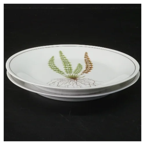 Tallerkensæt med planteillustration fra Royal Copenhagen (str. Ø 17 cm)