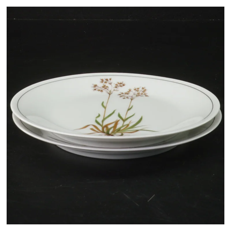 Porcelænstallerkener med blomstermotiv fra Royal Tettau (str. Ø 17 cm)