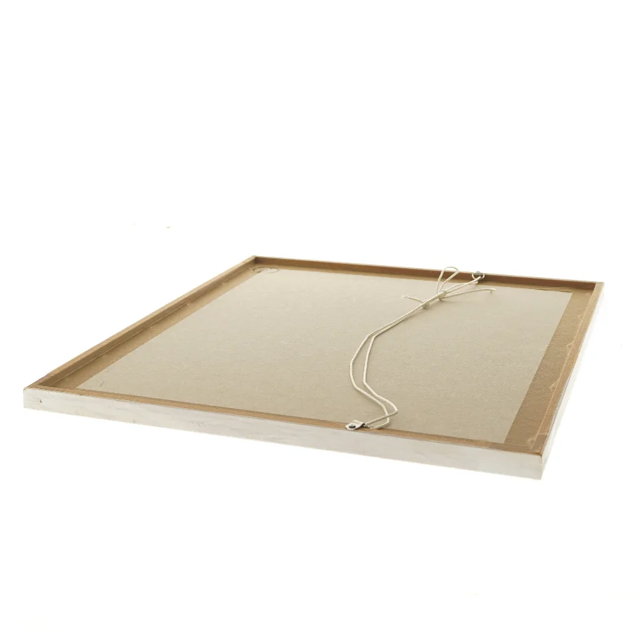 Litografi af (str. 45x55 cm)