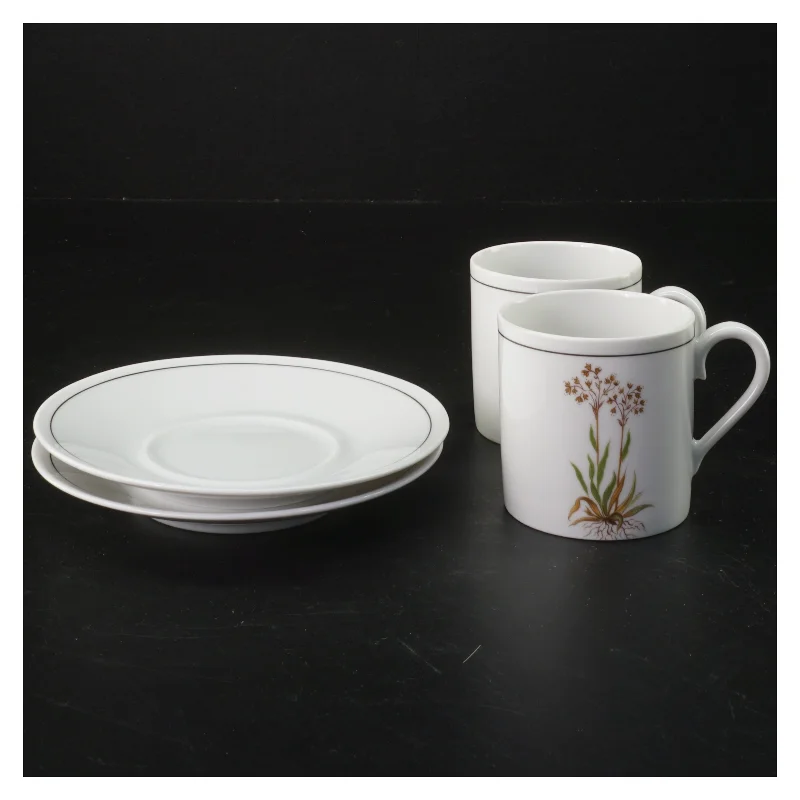 Porcelænssæt med kopper og underkopper fra Tirschenreuth (str. Ø 13xh7 cm)