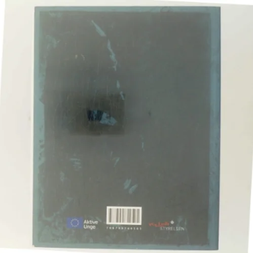 De frafaldne : 20 fortællinger af unge om frafald fra ungdomsuddannelser (Bog)