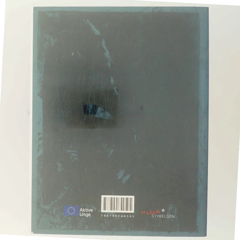 De frafaldne : 20 fortællinger af unge om frafald fra ungdomsuddannelser (Bog)