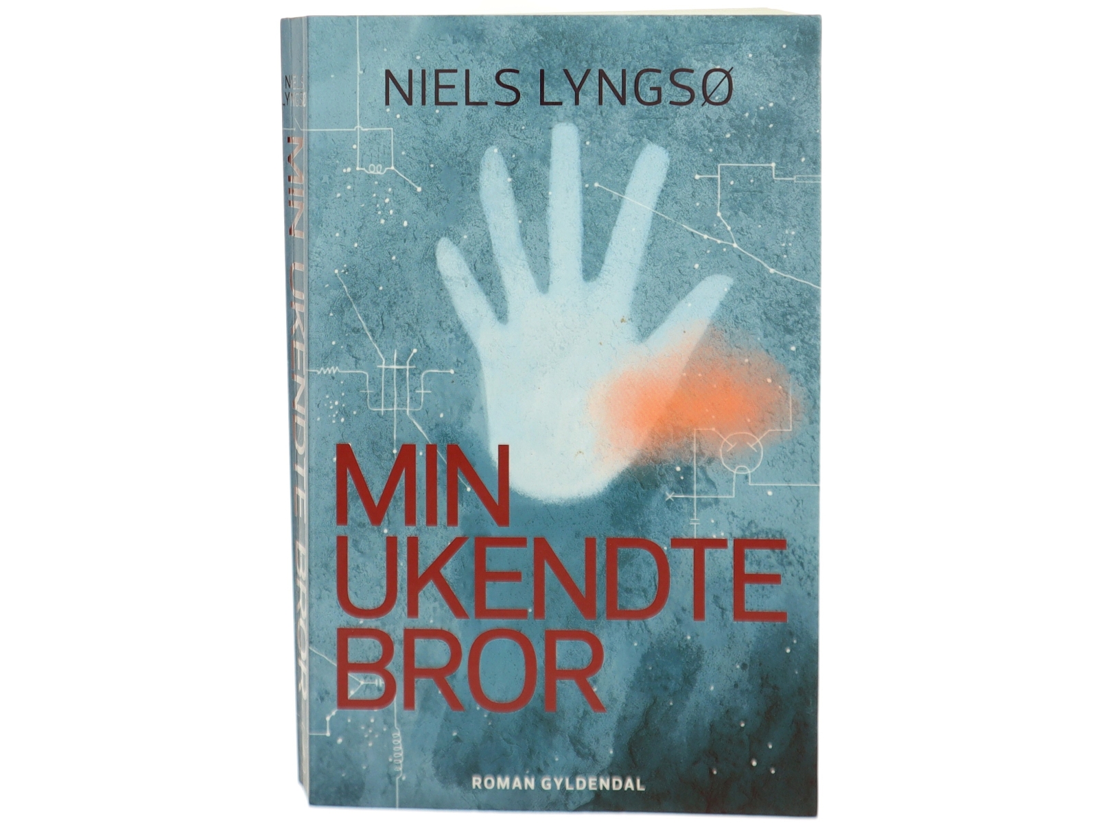 Min ukendte bror : roman af Niels Lyngsø (Bog)