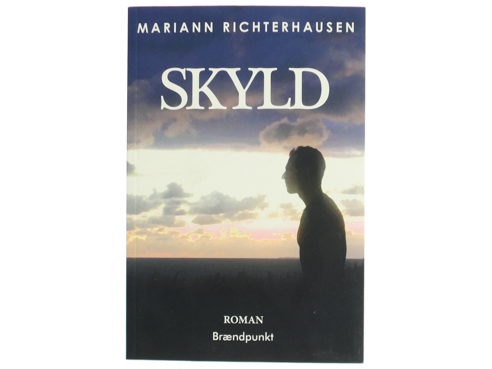 Skyld : roman af Mariann Richterhausen (f. 1980) (Bog)