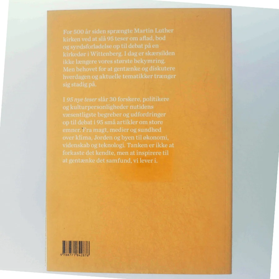 95 nye teser (Bog)