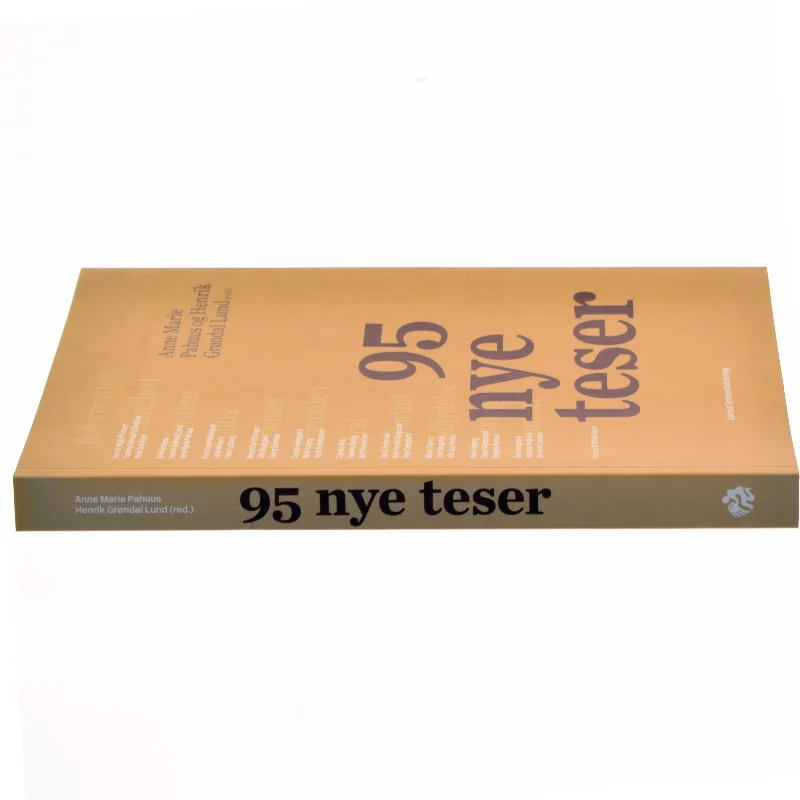 95 nye teser (Bog)