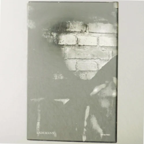 Portrætternes hus af ELse Fischer (Bog)