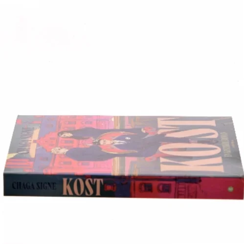 Kost : en kostskoleroman af Chaga Signe (f. 1975) (Bog)