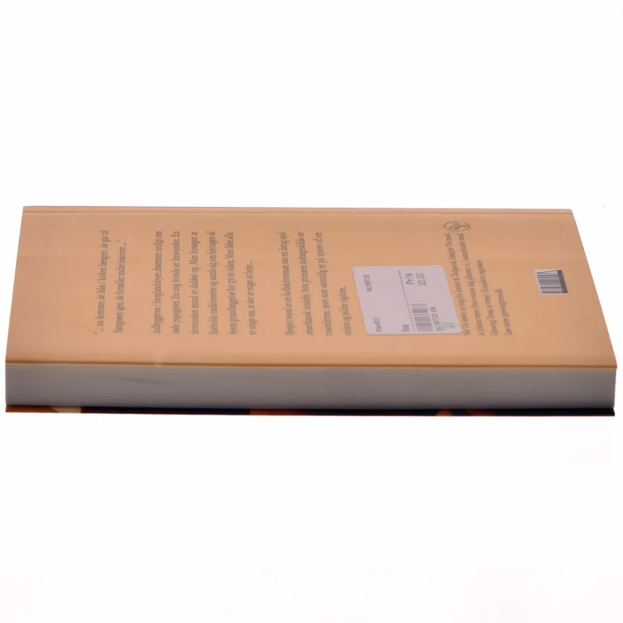 Bjergets mund : fortælling om liv og død i en bjerglandsby af Dea Sofie Kudsk (f. 1990) (Bog)