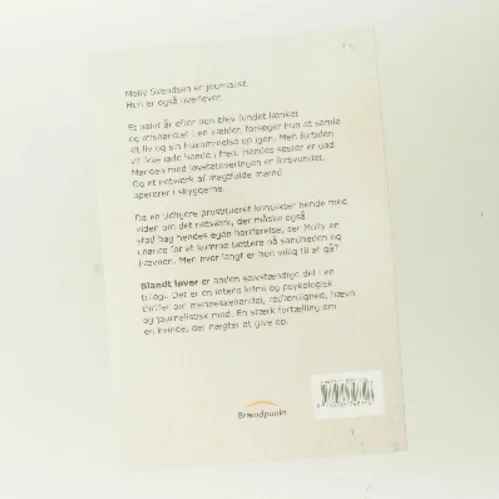 Afveje : roman af Jesper Bernt (Bog)