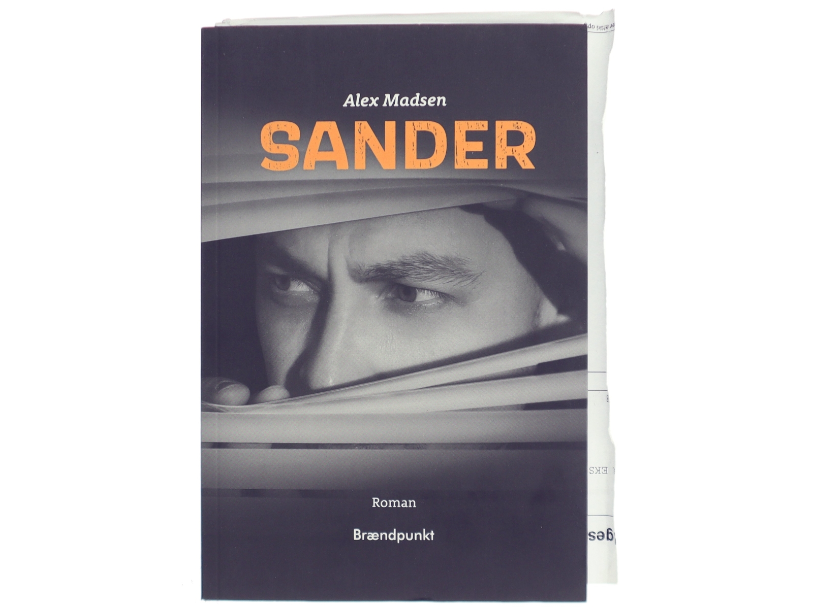 Sander : roman af Alex Madsen (f. 1951-08-03) (Bog)
