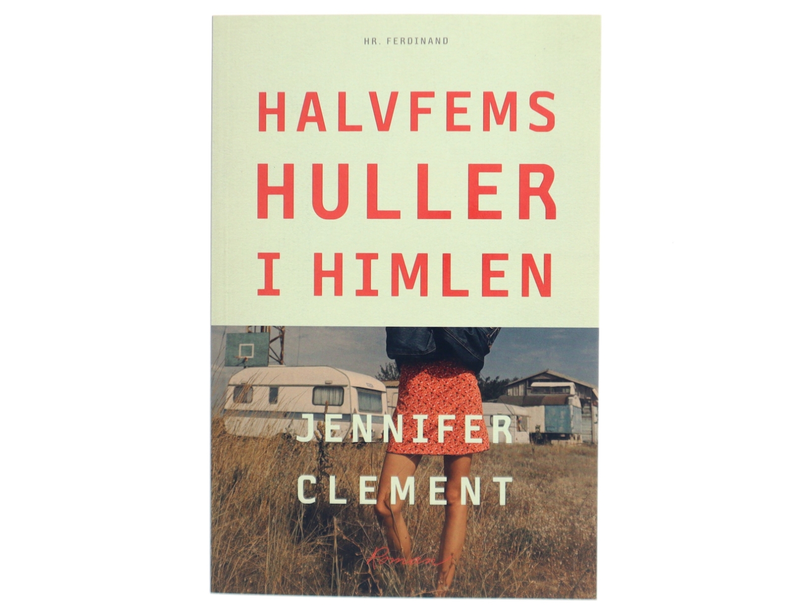 Halvfems huller i himlen : roman af Jennifer Clement (Bog)